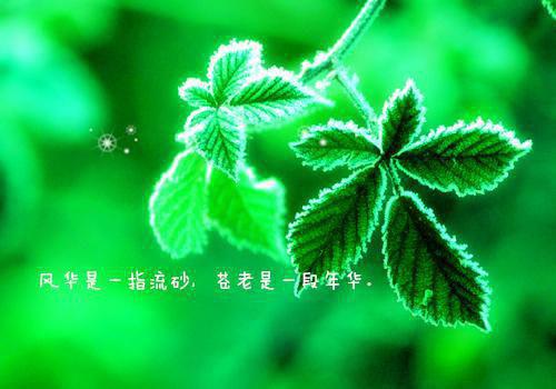 奇幻初秋全文免费阅读（温玥从逸）小说全文免费阅读无弹窗_（奇幻初秋）小说全文免费阅读最新章节列表（温玥从逸）