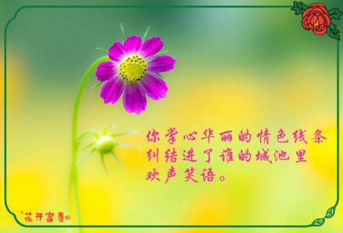 小说拓跋云赫苏定柔主角为拓跋云赫苏定柔免费阅读