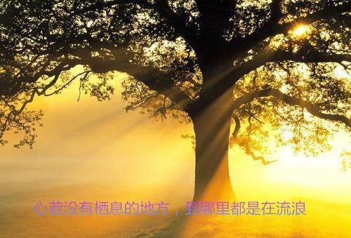 简柠周野小说（简柠周野）全文免费阅读无弹窗大结局_ (简柠周野免费阅读)最新章节列表（简柠周野）