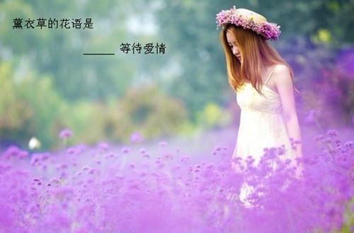 爱情正能量英语句子