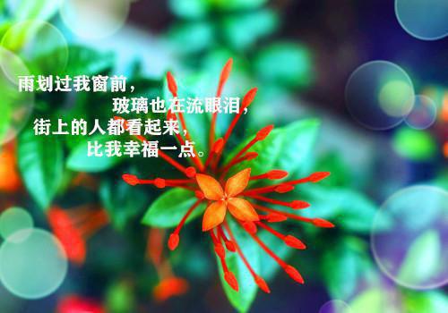 全本免费小说老公的虚假爱情苏小荟周森完结版阅读