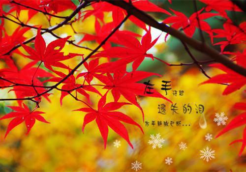 关于爱情挽留句子