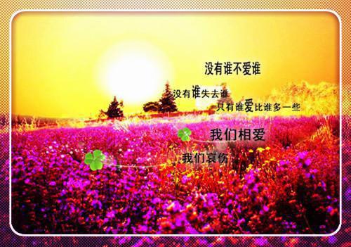 宋忍冬陈京叙在线阅读（陈京叙宋忍冬）全文免费阅读无弹窗大结局_宋忍冬陈京叙最新章节列表（陈京叙宋忍冬）