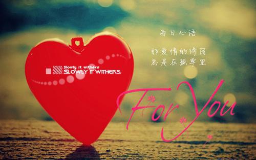 火爆小说桑离陆延彻免费阅读