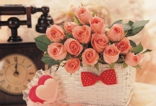 小说余生定不负唐婉瑜主角为唐婉瑜沈怀瑾免费阅读