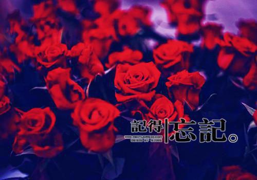 沈唯唐逸唐逸沈唯小说名小说全章节阅读
