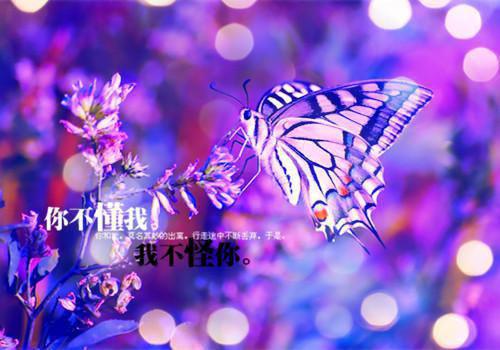 《没办法，我在世界上毫无敌手》乔愿傅以墨完结版全章节阅读