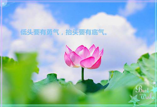 小说婆家彩礼歧视，离了拉倒by佚名全文阅读