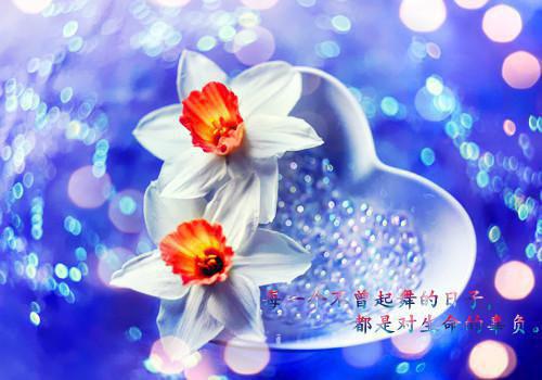丈夫装穷七年，我和儿子不要他了：番外+无删减版（沈知凛杨希月）全文在线阅读无弹窗大结局_（沈知凛杨希月）丈夫装穷七年，我和儿子不要他了：番外+无删减版在线阅读无弹窗最新章节列表（沈知凛杨希月）