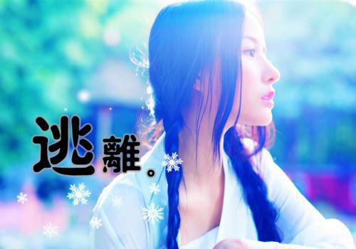 腹黑撩人：总裁的宠爱陷阱免费小说乔知漾岑昼全章节阅读