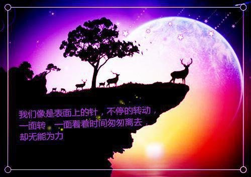 言情全文小说极光一念完结版精彩阅读