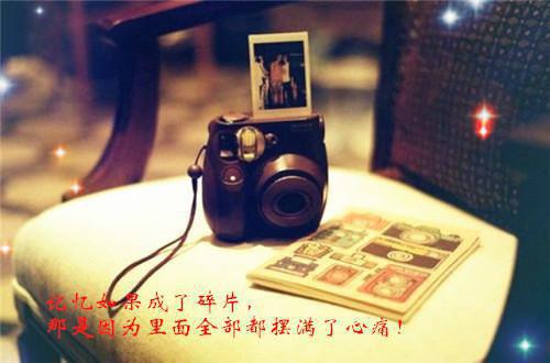 雁字回时情未休：结局+番外免费品鉴秦桑谢亦小说全文免费阅读_（雁字回时情未休：结局+番外免费品鉴）秦桑谢亦最新章节列表（雁字回时情未休：结局+番外免费品鉴）