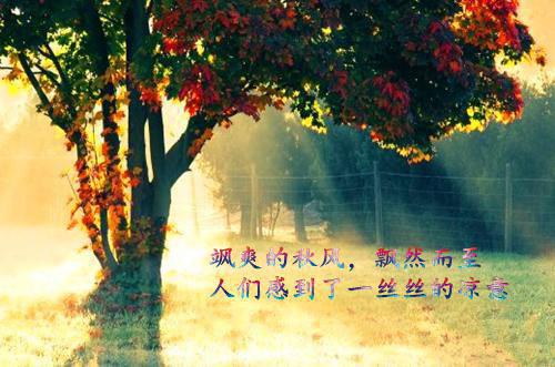 誓不为妾顾桑全文txt陆明川顾桑最新章节完整版小说阅读