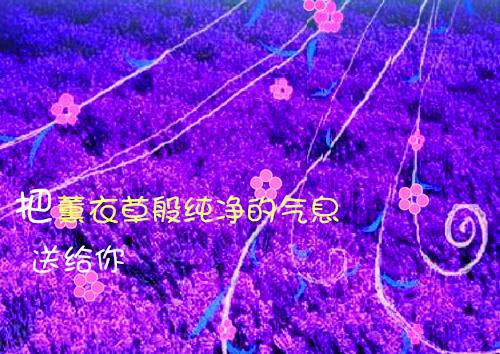 警界一哥全章节小说李鸣祖完结版阅读