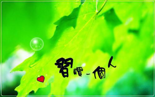 她，草包丑女，被各路王爷抢婚了沈清棠盛祈寒全文小说第1章免费阅读