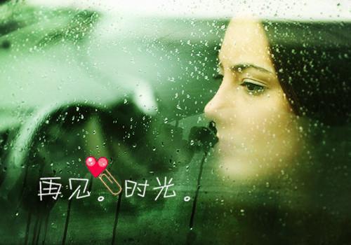 秦招月沈昭廷完结版小说全章节目录阅读