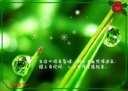 挽留爱情的英文句子说说心情短语
