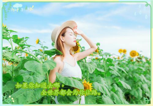 蘑菇调查员的小说乐队不温不火，爹妈生个主唱免费阅读
