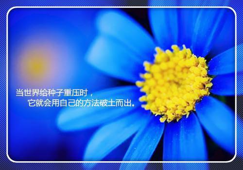 高口碑他，罪行滔天，被叛无罪！小说阅读(陈凡白洛)全本阅读