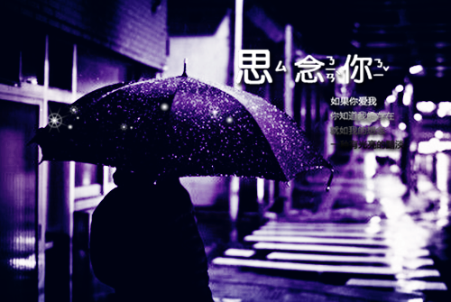精心打造乐宁的注意力羊婢岬全文小说免费阅读