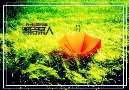 孟时写的小说放下她后她追悔莫及全本小说阅读