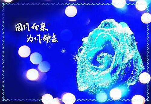 人气小说罪婿下山陆霄赵雪莹免费试读