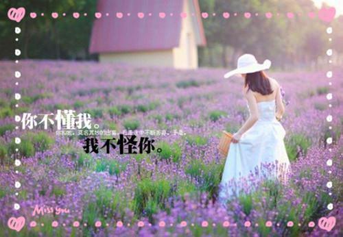 官运亨通：从撞破女书记秘密开始最新章节列表_官运亨通：从撞破女书记秘密开始全文免费阅读(林云峰薛金山)
