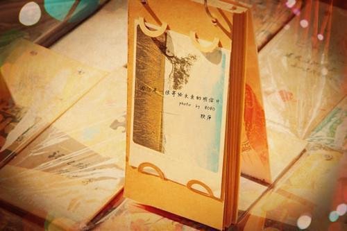不替渣女挡刀后，她哭着求我回头热门小说（纪时安沈念念）全文阅读