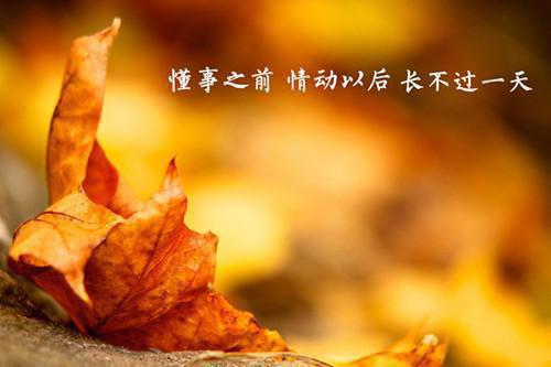 黎宁宛顾绍瑾小说全文免费阅读（黎宁宛顾绍瑾小说小说）全文在线黎宁宛顾绍瑾读无弹窗大结局_（黎宁宛顾绍瑾全文在线黎宁宛顾绍瑾读无弹窗）黎宁宛顾绍瑾小说小说最新章节列表（黎宁宛顾绍瑾）