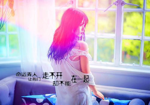 全文小说娇妻太甜，陆少别矜持目录免费阅读