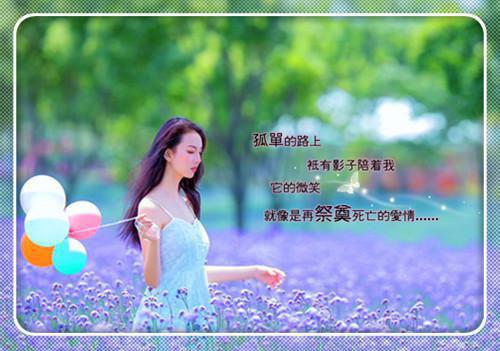 火爆小说秦招月沈昭廷免费阅读