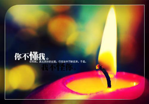 免费小说实力派畅销书籍被算计离家后,我闪婚崽他豪门亲爹by秦酒全章节阅读