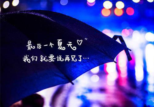 全本免费小说七零军婚拒绝禁欲糙汉99次佚名完结版阅读