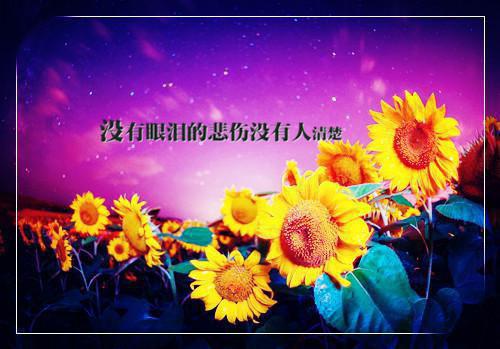 三色堇的小说一口气读完畅读 和你倾心相待的小温暖乐瑶丁杰全文在线阅读