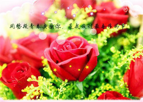 谢沉胥江凝全文江凝谢沉胥最新章节精彩试读