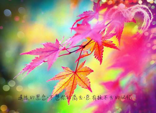 幸福与金钱无关正能量句子