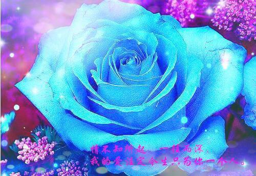 完结版小说姜晚栀岑忱时全文免费阅读