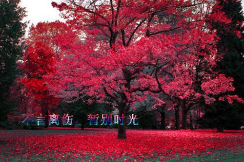 姜可儿顾言修全文免费阅读(姜可儿顾言修小说)全文免费阅读无弹窗大结局_(姜可儿顾言修全文大结局)最新章节列表_（姜可儿顾言修）