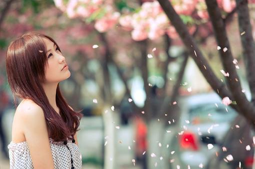 小说被妈妈和假千金合伙谋杀主角为叶芙叶婉免费阅读