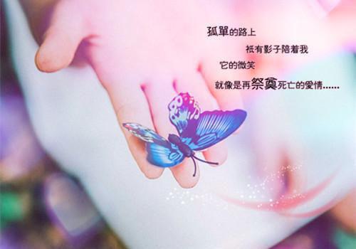 主角为黎卿裴瑾辞的小说全文黎卿裴瑾辞免费阅读