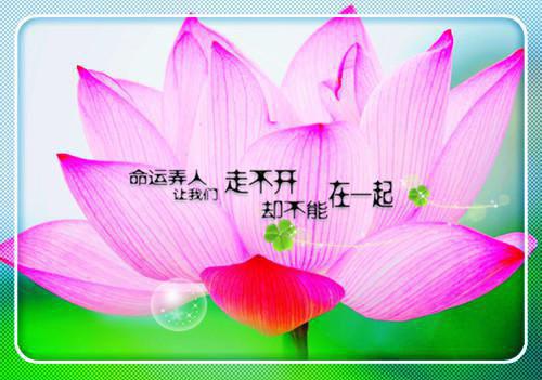 独霸一方李鸿李丽质小说完本在线