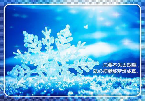 我死的那天，他和白月光订婚了全文阅读_姜知意陆司卿小说免费试读
