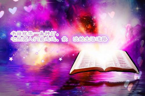 重生八零，被年下弟弟独宠陈诗婷赵珈珩全本免费小说目录试读