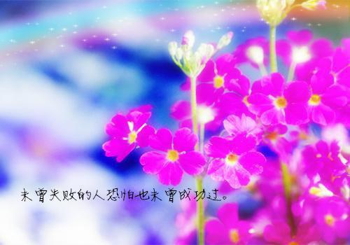 全本免费小说大将军你就从了哀家吧韩冰凝萧廷完结版阅读