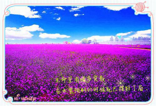 《不若送我到白头》完结版阅读《不若送我到白头》最新章节目录