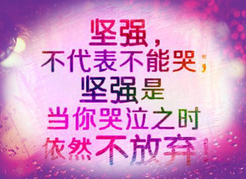 沈音周南岸小说免费阅读