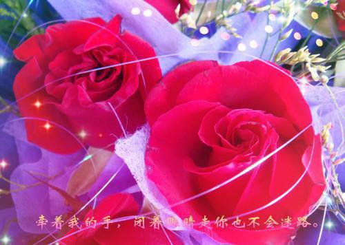 (番外)+(全文)（卢振庭傅青青）全文免费阅读无弹窗大结局_一念情深，一念婚烬小说：全文+番外最新章节列表（卢振庭傅青青）（卢振庭傅青青）完结阅读无弹窗大结局_(卢振庭傅青青)最新章节列表（一念情深，一念婚烬小说：全文+番外）