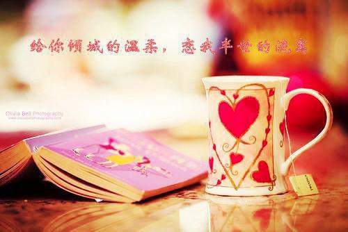 小编 浏览强取豪夺:太子对她欲罢不能最新章节列表_小编 浏览强取豪夺:太子对她欲罢不能全文免费阅读(宁若雨萧凛夜)