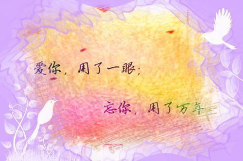 全本小说曲笙儿萧长野by雨打琵琶免费阅读