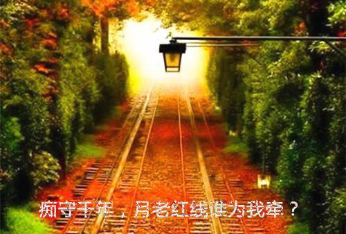 文集进化：开局一只大白鹅，震惊女主人（徐桓林丽英）全文浏览_文集进化：开局一只大白鹅，震惊女主人全文浏览